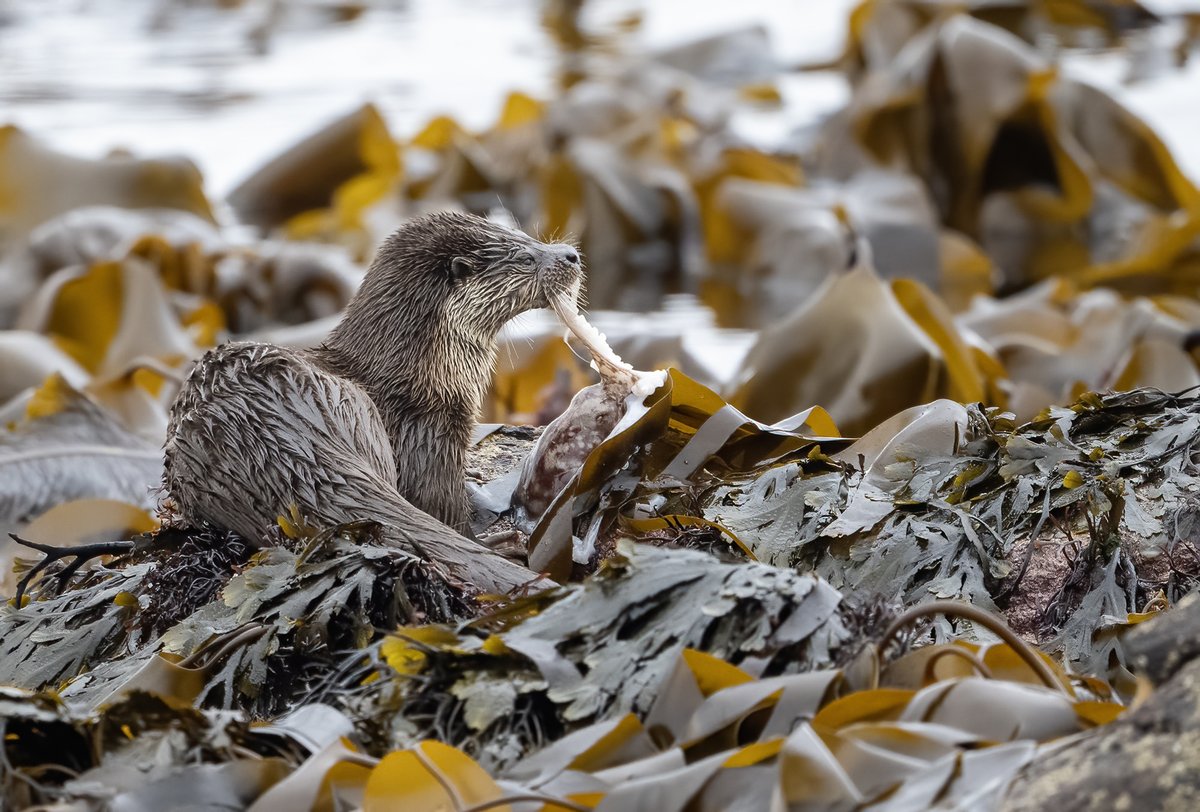 John Moncrieff tweet media