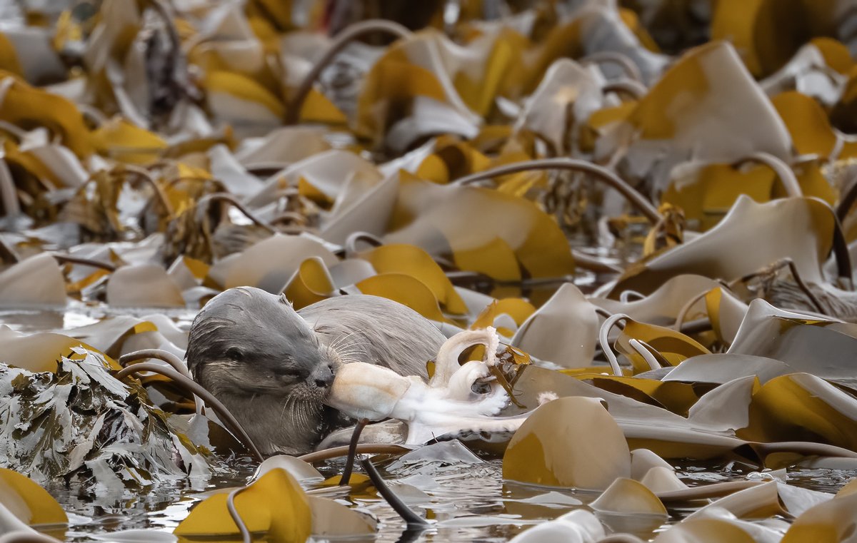 John Moncrieff tweet media