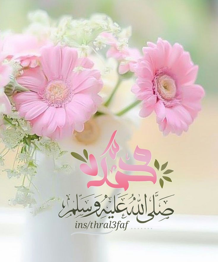 ☪︎ ℝ𝕆𝕊𝔼 🌸📵 tweet media