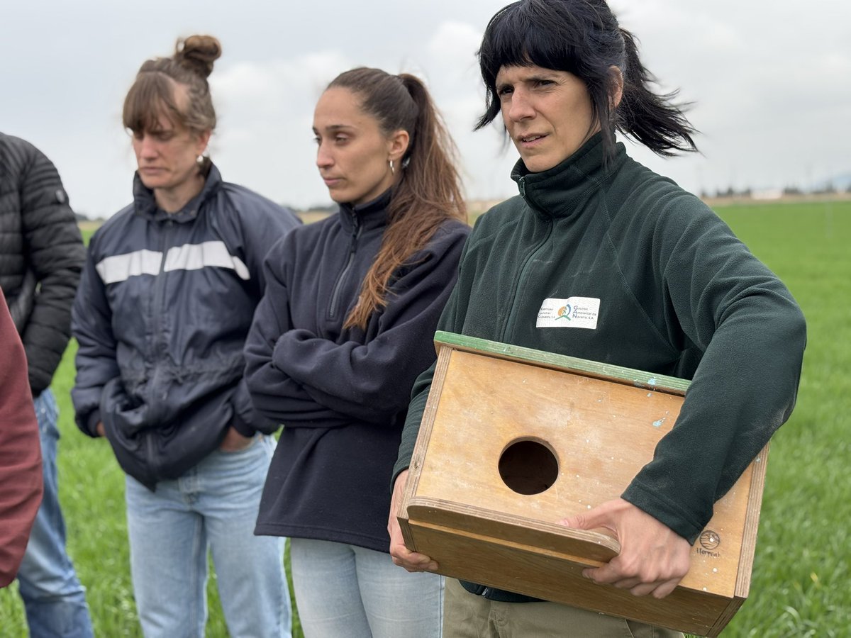 IntiaSa's tweet photo. 🦉🐀 Jornada sobre #Cajas nido para el control de topillos en Corte
👀cajas nido y toperas.

🐀🍃Lursaguendako habi-kutxen erabileraren inguruko jardunaldia Kortesen, sator-pilak eta kutxak 👀

🙌🏻 @GanNavarra 

#ClimateFarmDemo #SustainableAgriculture #Demofarms #HorizonEurope https://t.co/dBIQIXdjAn