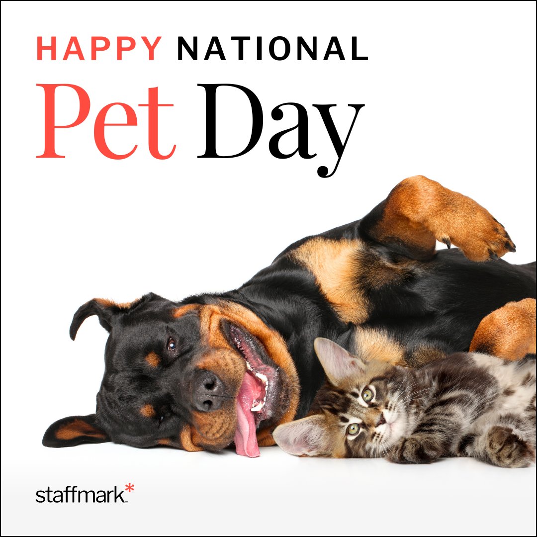 We’re paws-itively excited for National Pet Day! 

Whether your furry friend is your work-from-home assistant or your biggest cheerleader, we want to see them! 

Drop a pic or name of your pet in the comments! 📸 

#NationalPetDay #WorkBestie