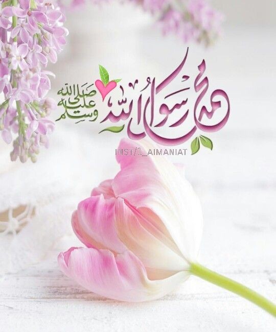 ☪︎ ℝ𝕆𝕊𝔼 🌸📵 tweet media