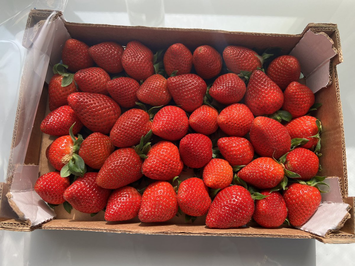 jenaissant98's tweet image. 🍓