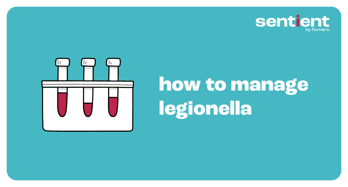 SentientUk's tweet photo. Legionella has hit the headlines recently with outbreaks on the Bibby Stockholm Barge and in prison managed by Amey Community Ltd.

Our team explain what legionella is, it's impact, along with how to manage and prevent it affecting your business.

https://t.co/0RZmamPD1U https://t.co/w1wkC7efH0
