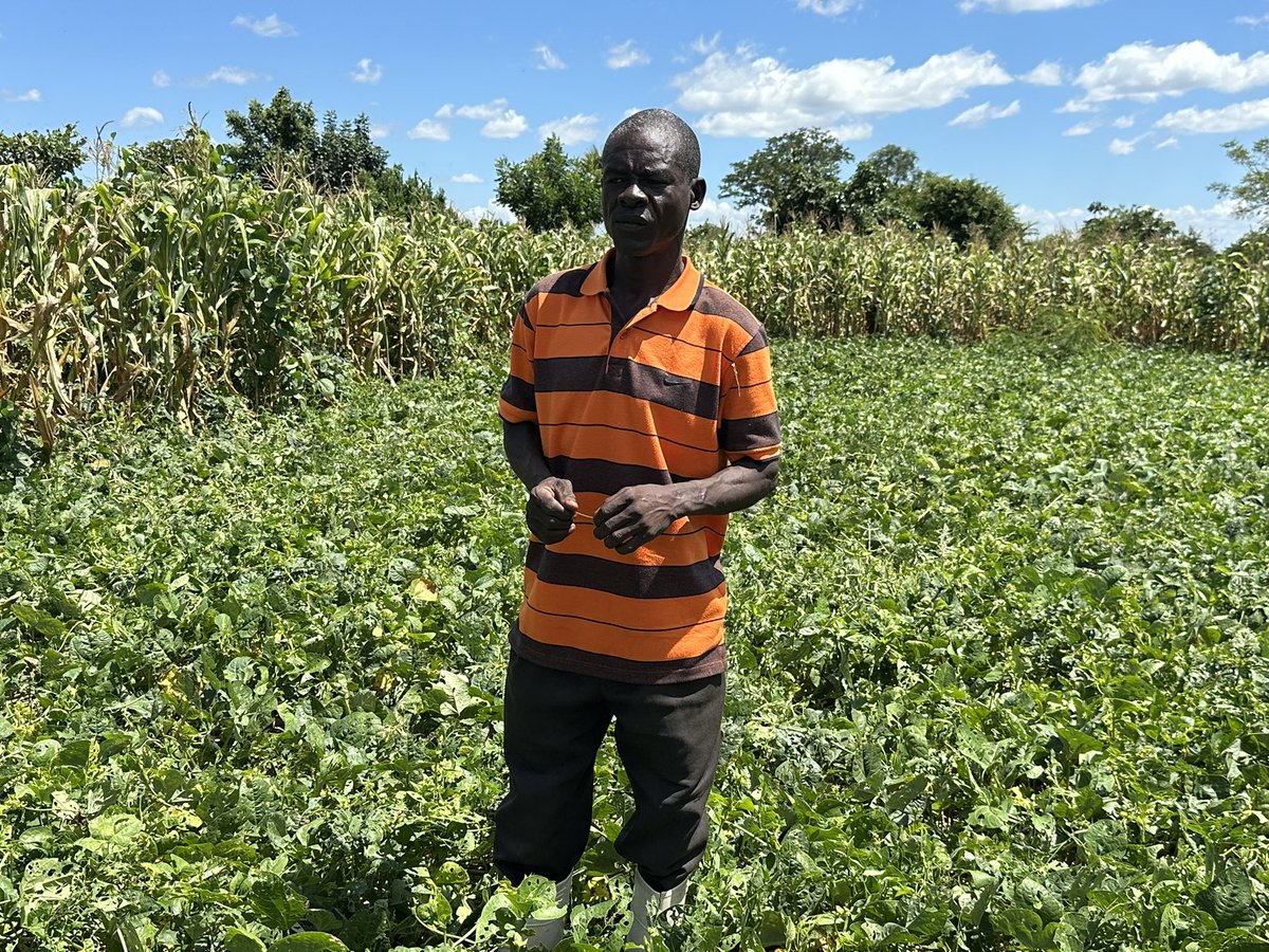 MazvitaSheila's tweet photo. Learning, listening, sharing insights. Field visits in Central & Southern Malawi have been a great privilege, where we are experimenting with men, women & youth farmers on #sustainableintensification, to deepen understanding of #farmingsystems & strengthen #resilience 🌽 🫘 👨🏽🌾 https://t.co/YJLFDVxcma