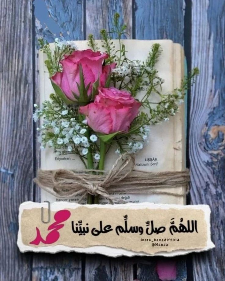 ☪︎ ℝ𝕆𝕊𝔼 🌸📵 tweet media