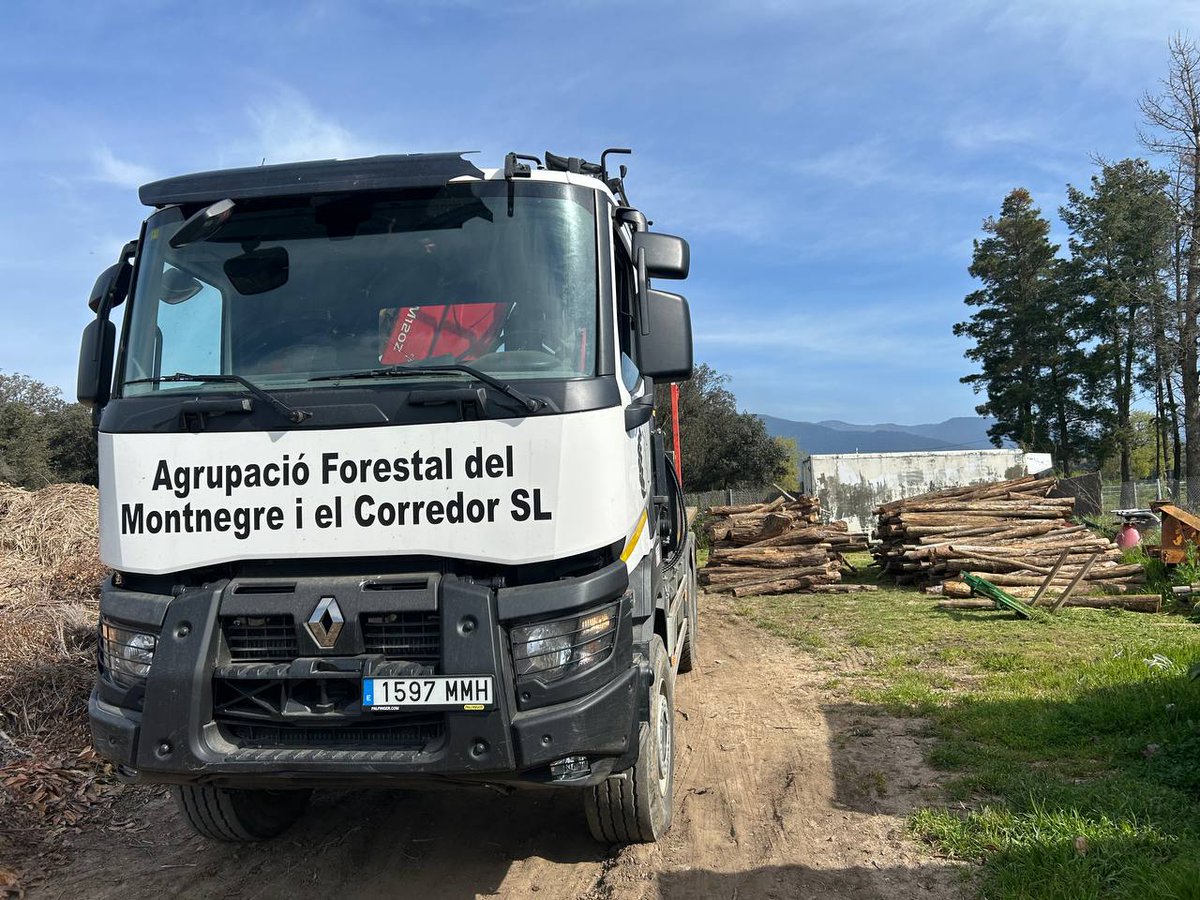 Aquest viatge d'acàcies va directe a fer jocs infantils d'exterior #fusta local #valorització de producte amb artijoc