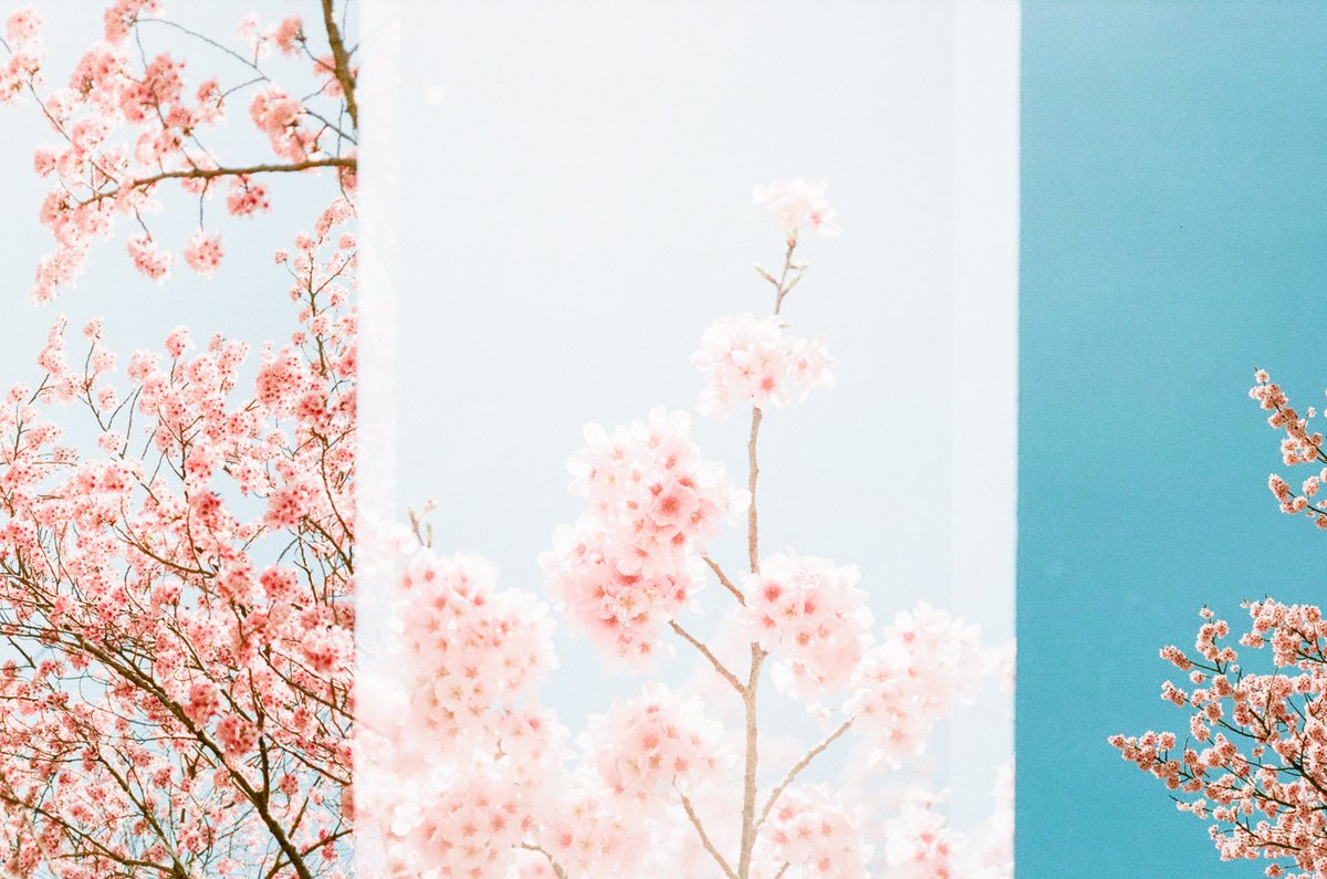 ni___san_photo's tweet image. コマずれも愛せる魅力的なカメラ

OLYMPUS PEN-F (1963年)