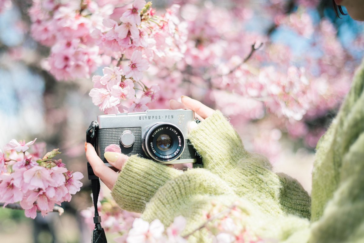 ni___san_photo's tweet image. コマずれも愛せる魅力的なカメラ

OLYMPUS PEN-F (1963年)