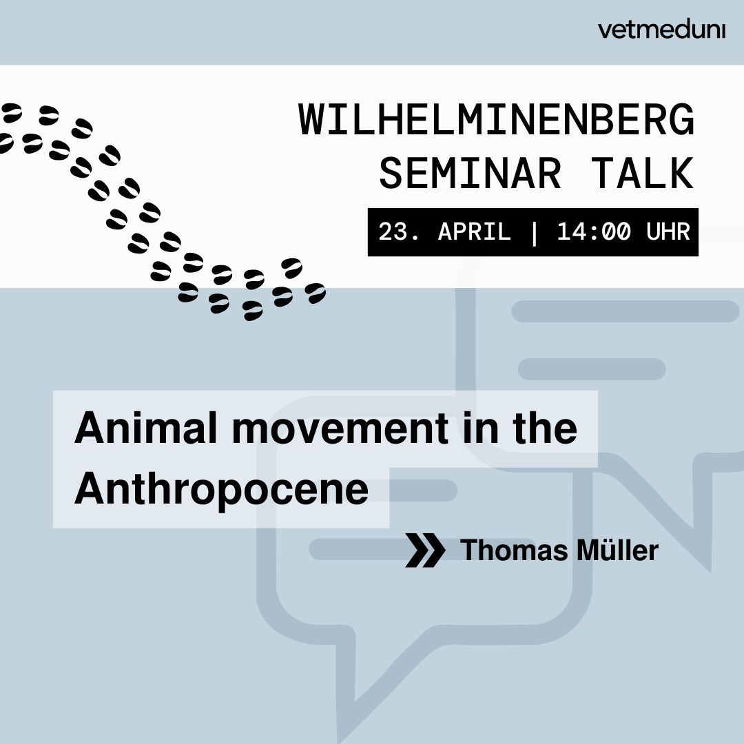 Nächster #WilhelminenbergSeminarTalk: 23.4. | 14:00 Uhr mit Thomas Müller/Senckenberg Biodiversity &amp; Climate  Research Centre🐾
📍<a href="/FIWIvienna/">FIWI Vienna</a>, 1160 Wien oder online👩‍💻
→ vetmeduni.ac.at/fiwi/seminar-a…
📢Tipp für Studierende: Die Teilnahme kann als Wahlfach anerkannt werden! (KV 128 804)