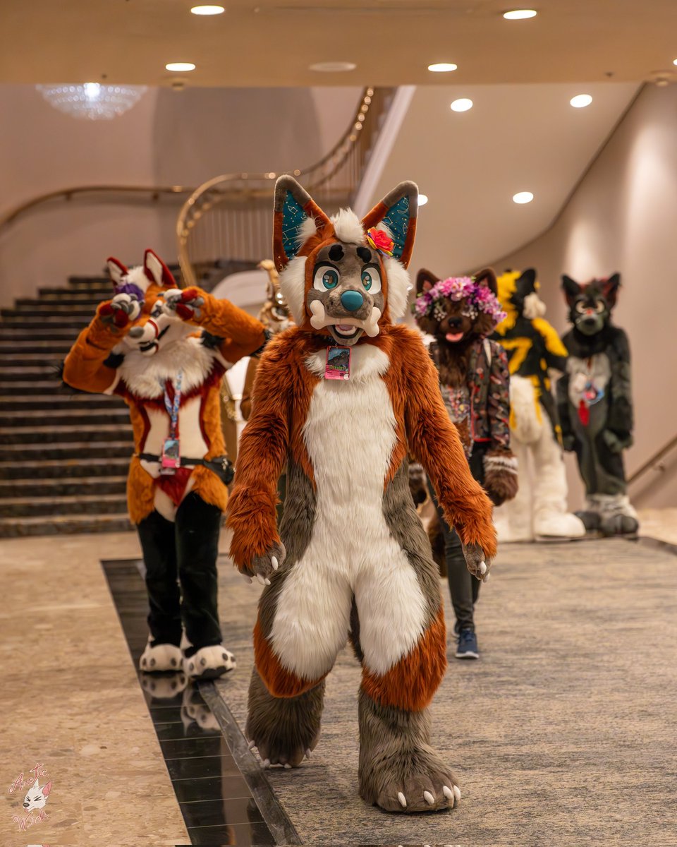 The photobomber has become the photobombee 🥹 

Happy #FursuitFriday fluffs! 😁 

🐱 - <a href="/Mariannefo15/">Mariannefo</a>
🦊 - @Slimster_jester
📷 - <a href="/ArcticWindPhoto/">Arctic Winds Photos</a>