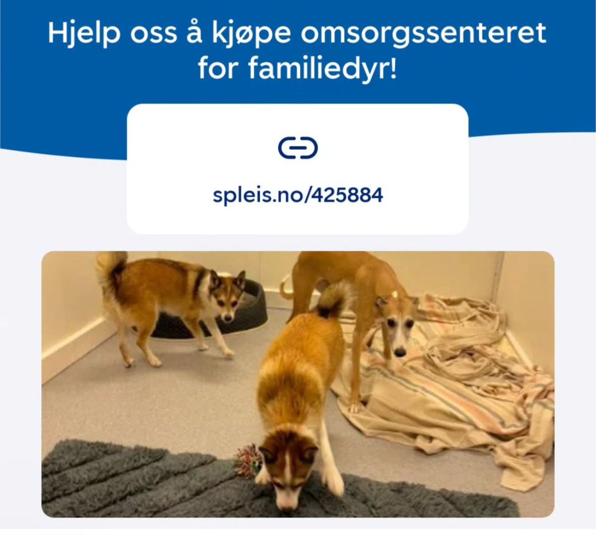 De som har omsorg for kjæledyr, har en ekstra barriere mot å søke hjelp ved mishandling.
Hjelp Salus å hjelpe dyret, så eier kan få nødvendig beskyttelse.
spleis.no/project/425884

(Jeg har ganske laber reach, så setter pris på om du deler videre)

#krisesenter #spleis #dyr