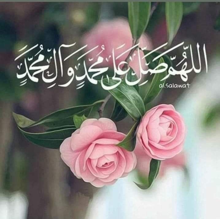 ☪︎ ℝ𝕆𝕊𝔼 🌸📵 tweet media