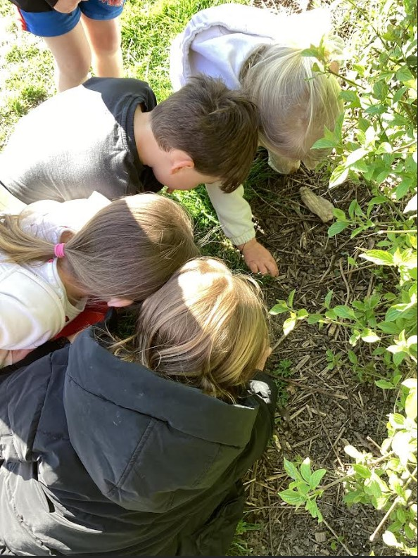 Little Learners_Castle Batch tweet media