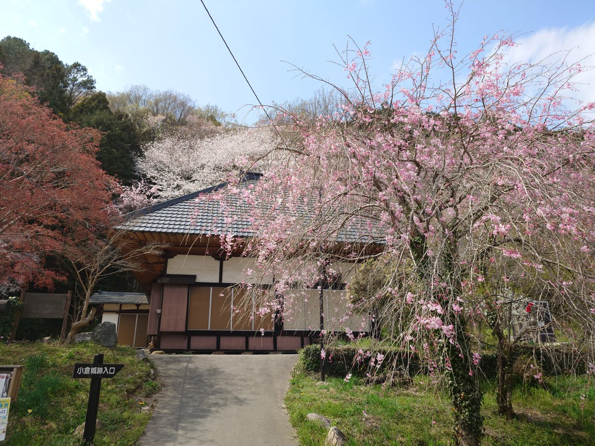 そういえば７日に花見ツーリング行ってきた