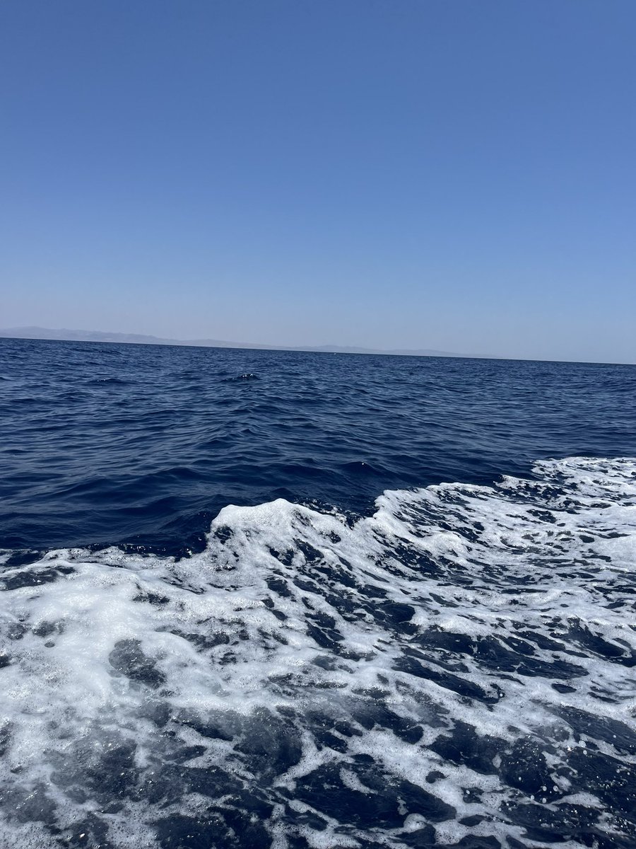 _artisticsoul's tweet photo. Youmen dahab bs 🥹 https://t.co/uN72joIr9Y