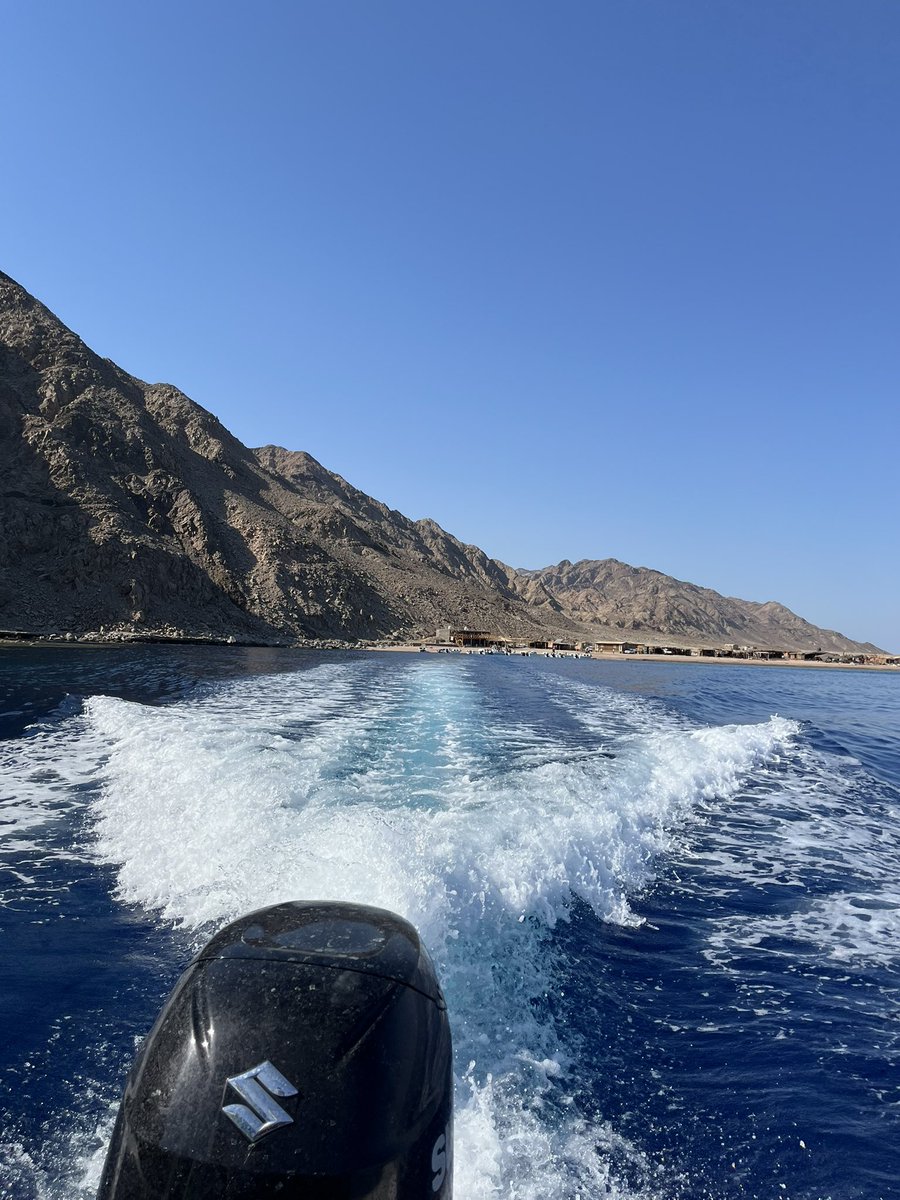_artisticsoul's tweet photo. Youmen dahab bs 🥹 https://t.co/uN72joIr9Y