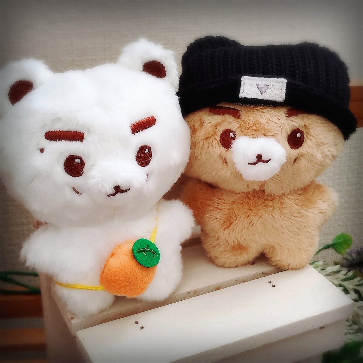 fukunfuku's tweet photo. かわいい子達をお迎えできました🐻
ありがとうございます☺️

@got_elichan 
@kunniebear https://t.co/3eVESq3JnB
