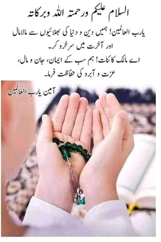 Good evening everyone 🌺