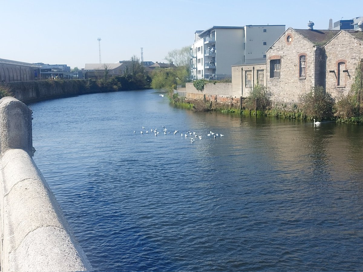 Everybody seems to be enjoying Dublin in the sun today, including seagulls! The riverside of Heuston is such a lovely part of the city #IloveDublin