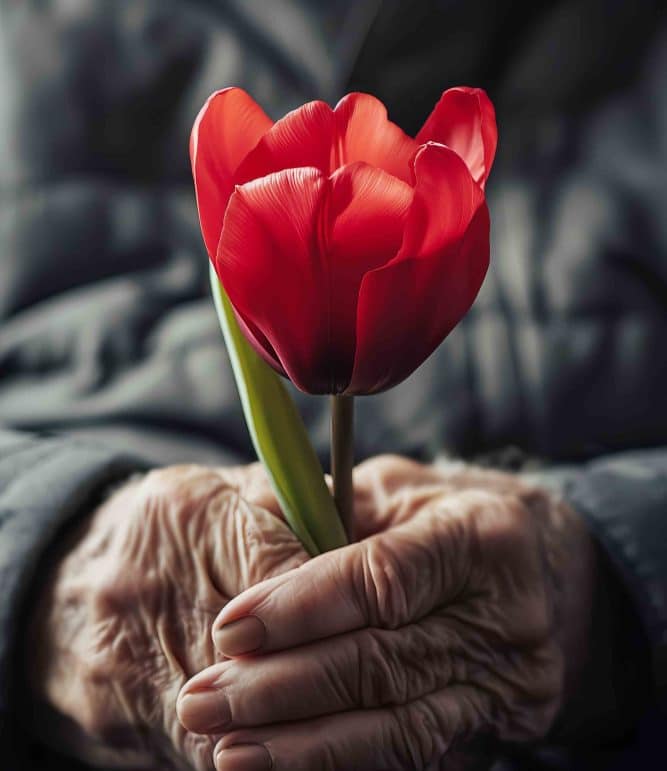 🌷Día Mundial del Parkinson 
🌷Esta fecha coincide con el aniversario del nacimiento de James Parkinson, un neurólogo británico que en 1817 descubrió lo que en aquel tiempo denominó parálisis agitante y que hoy conocemos como enfermedad de Parkinson.
#CubaPorLaVida
#CubaEsSalud