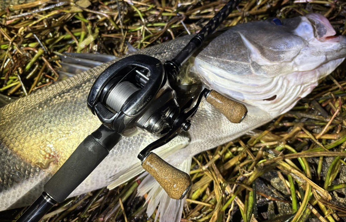 宮本大輔 tweet media