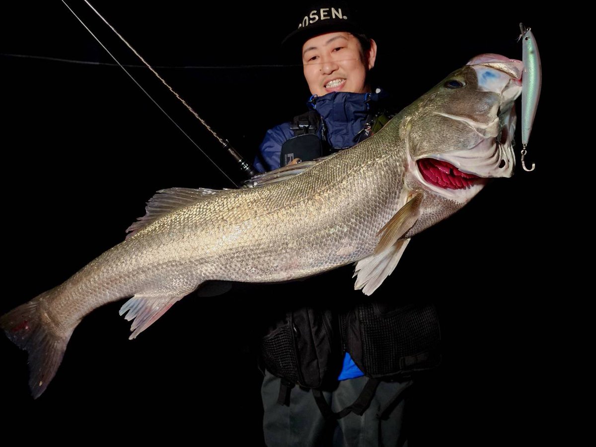 宮本大輔 tweet media