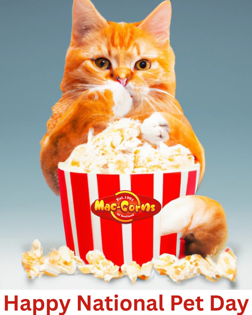 maccorns's tweet photo. #Happy #NationalPetDay !  
🐶🐱 Popcorn & Paws! National Pet Day Fun! 🐾🍿
Show us your fur-babies enjoying Mac-Corns Popcorn
No worries, we know the #Popcorn  is for YOU! 🤣😆
🎉 Share a snap of your pet looking longingly at your snack bowl, and let’s see the best "puppy-dog eyes" or curious kitty stares! 🥺🐾
Which pet gives the best “I-deserve-a-snack” stare? 👀🐶🐱
Drop your pics below and tell us their name! Bonus points if they have a snack-inspired name—like “Popcorn” or “Crunch”! 😉
#NationalPetDay #MacCorns #Popcorn  #PopcornAndPaws #FurryFriendsAndFlavors