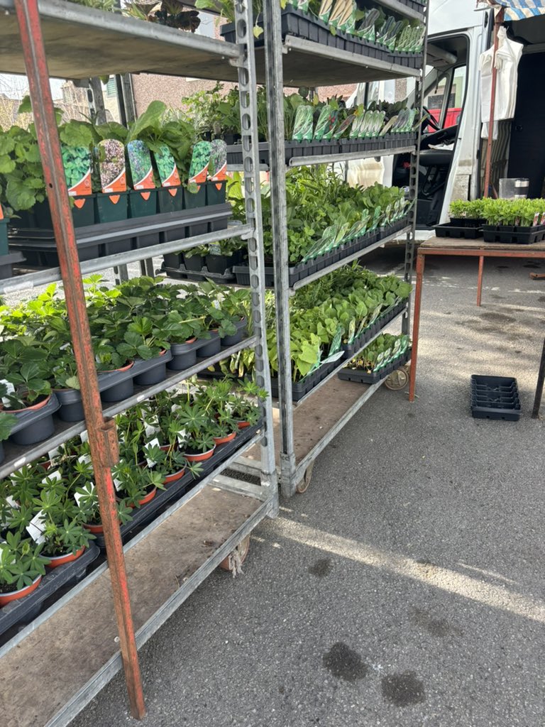 rattycastle's tweet photo. Wigton market #FridayMorning what a great little market. #flowers #fruitveg #eggs #bricbrac #dogtreats #buylocal https://t.co/vkDiTAdWGV