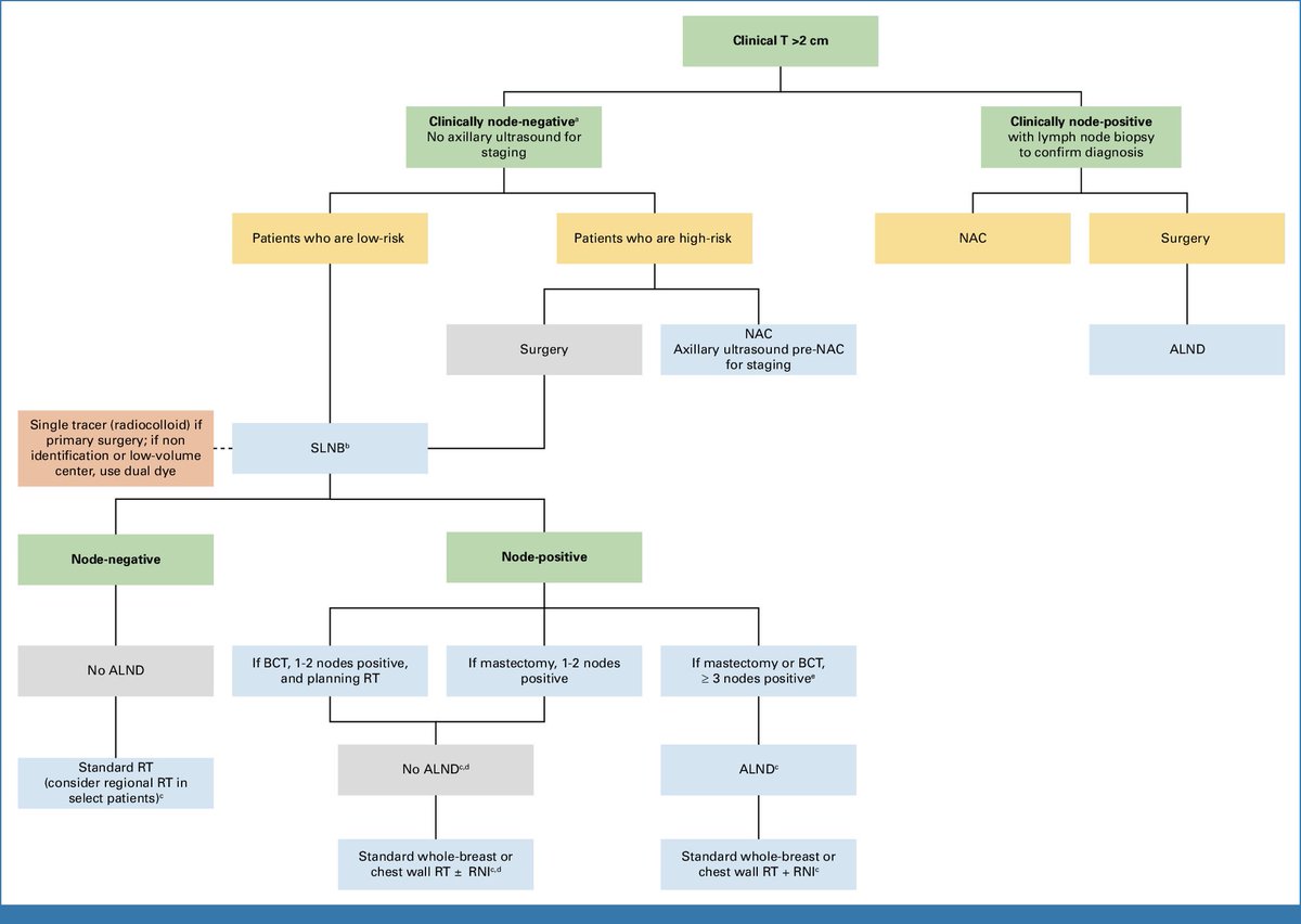 📌 Sentinel Lymph Node Biopsy in Early-Stage Breast Cancer: ASCO Guideline Update
ascopubs.org/doi/10.1200/JC…
<a href="/OncoAlert/">OncoAlert</a> #OncoAlertAF <a href="/ASCO/">ASCO</a>