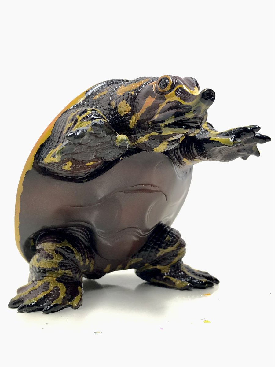 フロリダスッポンの幼体です。 試作だし未完成だけど上げてしまおう