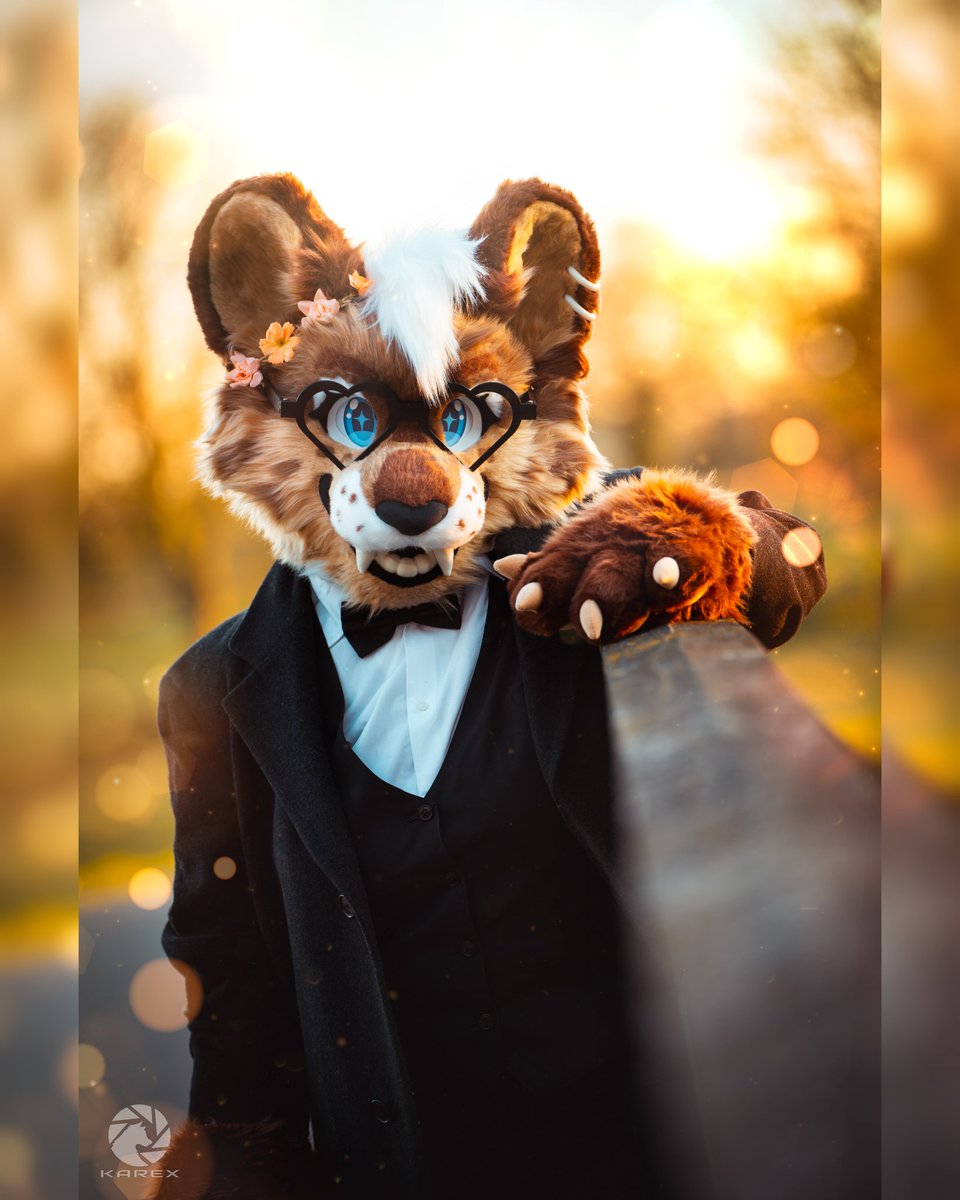 Happy Fursuit Friday ✨

📸 <a href="/Karex_Wolf/">Karex</a> 
✂️ RiceBall