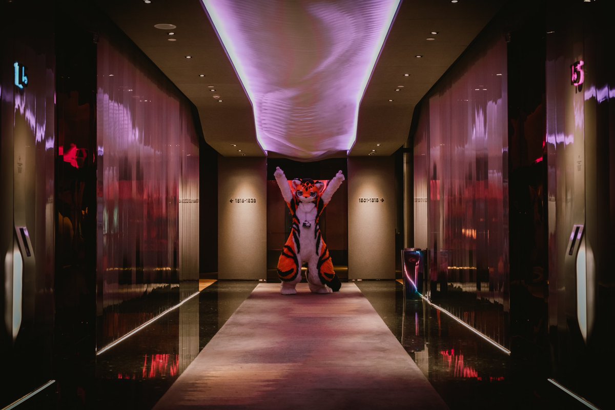 LigerRoxy tweet media