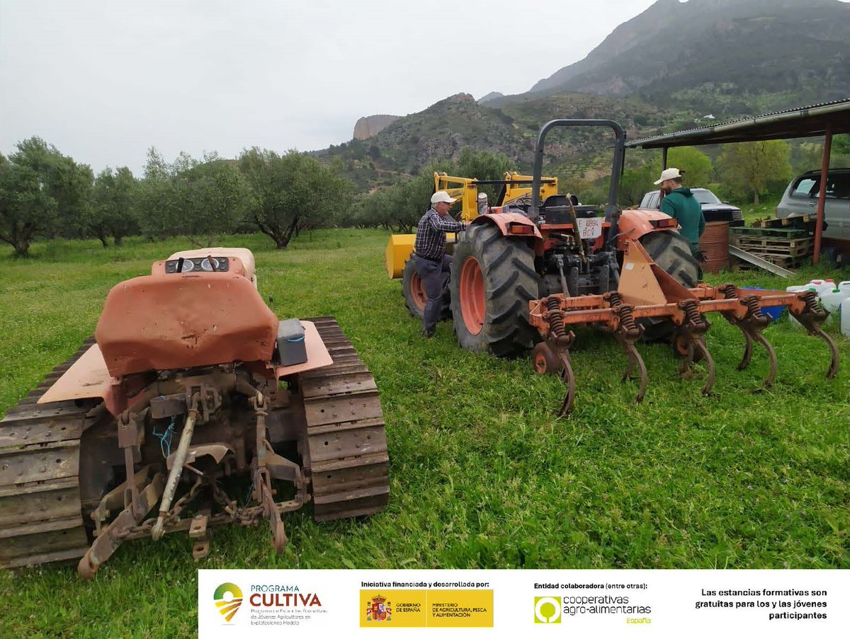 CoopsAgroAND's tweet photo. Hoy finaliza su fructífera estancia del #ProgramaCULTIVA24 en #Casarabonela, #Málaga, el joven agricultor Francisco Manuel Lucena. Han sido unos días de aprendizaje intenso sobre olivar ecológico en la finca de Francisco Florido.
@mapagob @CoopsAgroES https://t.co/fsEXDuFFQA