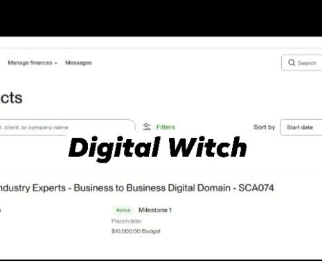 Digital Witch Support Team tweet media
