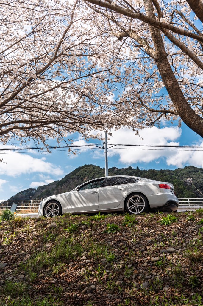 今年撮った桜と車ﾃﾞｽ🌸