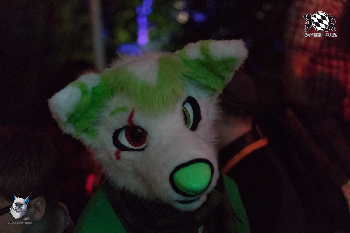 "Ist das Wochenende schon da? Ja? Yippie."

#BFD5 #FursuitFriday

🐺 <a href="/ArcZero_Wolf/">ArcZero Wolf</a> 
📸 <a href="/FuwoWolf/">Fuwo</a> 

Ihr wollt uns unterstützen? Super!
Dann hier entlang, unter
bayern-furs.de/ueberuns/verei…