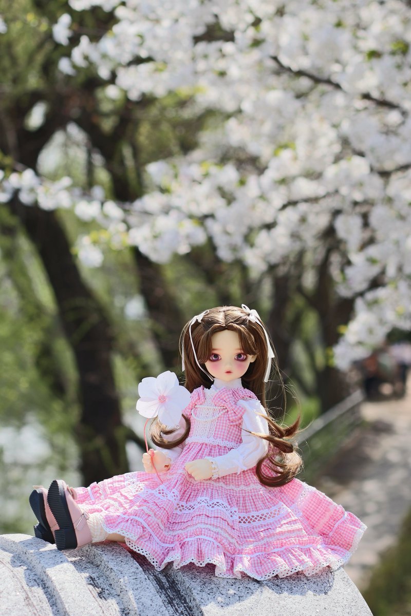 고요 (@koyo_doll) / Posts / X