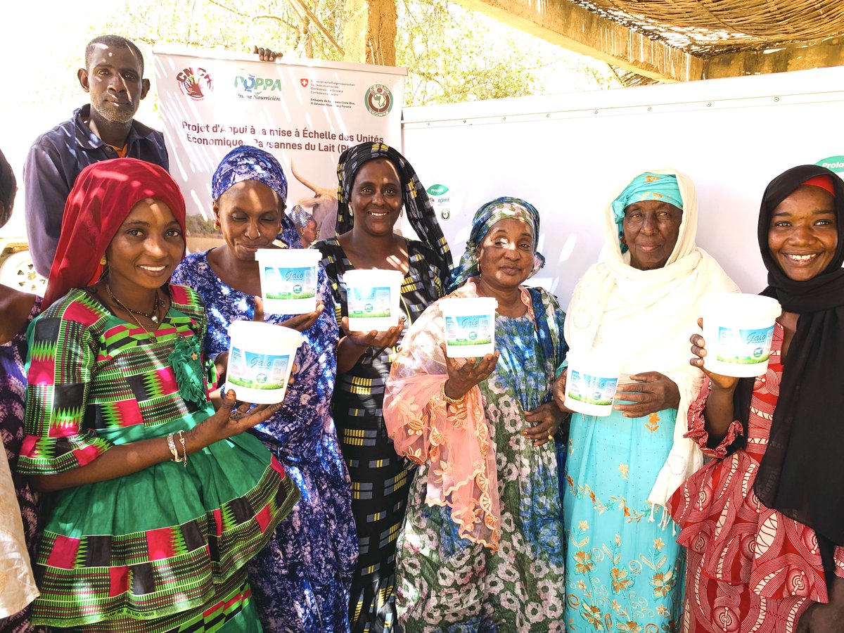 Cncr_Senegal's tweet image. Podor : le Cncr octroie un tricycle frigorifique aux jeunes/femmes de l'unité de production de lait de l'ADENA/Namarel. Le #Cncr  y a joint des pots avec étiquettes pour un meilleur positionnement de leurs produits laitiers sur le marché. Dotation faite ds le cadre du #Prolait.