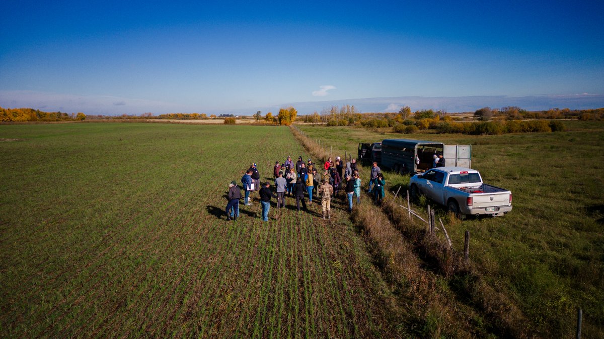 ALUS (@alus_solutions) on Twitter photo By sharing knowledge and adopting regenerative practices like cover cropping and reduced tillage, we're making a positive impact on our environment. We're grateful for <a href="/GeneralMills/">General Mills</a>' trust and partnership in the Growing Roots program. #SoilHealth #RegenAg
grainews.ca/features/peer-… By sharing knowledge and adopting regenerative practices like cover cropping and reduced tillage, we're making a positive impact on our environment. We're grateful for <a href="/GeneralMills/">General Mills</a>' trust and partnership in the Growing Roots program. #SoilHealth #RegenAg
grainews.ca/features/peer-…