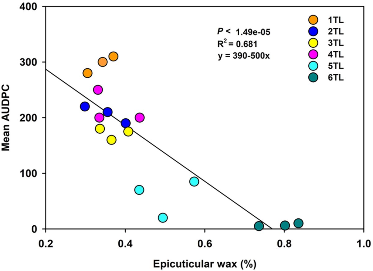 Gangurde_SS's tweet photo. Delighted to share our recent article in Physiologia Plantarum (IF: 5.4). Titled "Leaf epicuticular wax and hormone-mediated resistance to Alternaria brassicicola in broccoli"
  Enjoy the reading at: https://t.co/bQ6bQvNwQ2 https://t.co/BuFp1981M9
