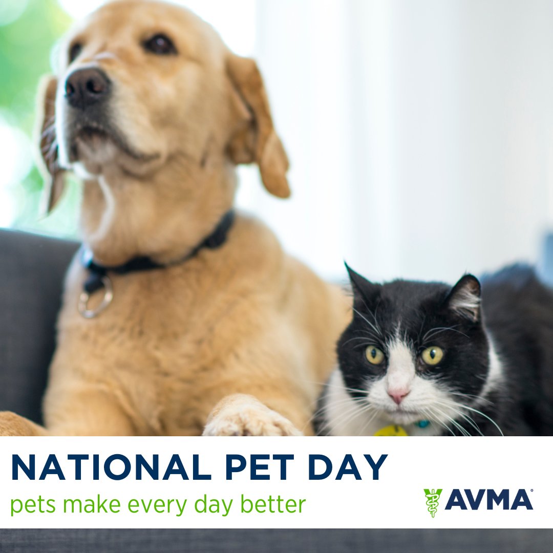 Happy #NationalPetDay! Pets make every day better, and veterinary teams help to protect those pets. 

Whether it's National Pet Day or any other day, it's always an opportune time to celebrate pets and learn more about the importance of wellness exams: bit.ly/2Srm7RJ