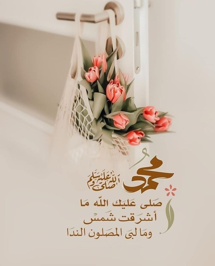 ☪︎ ℝ𝕆𝕊𝔼 🌸📵 tweet media