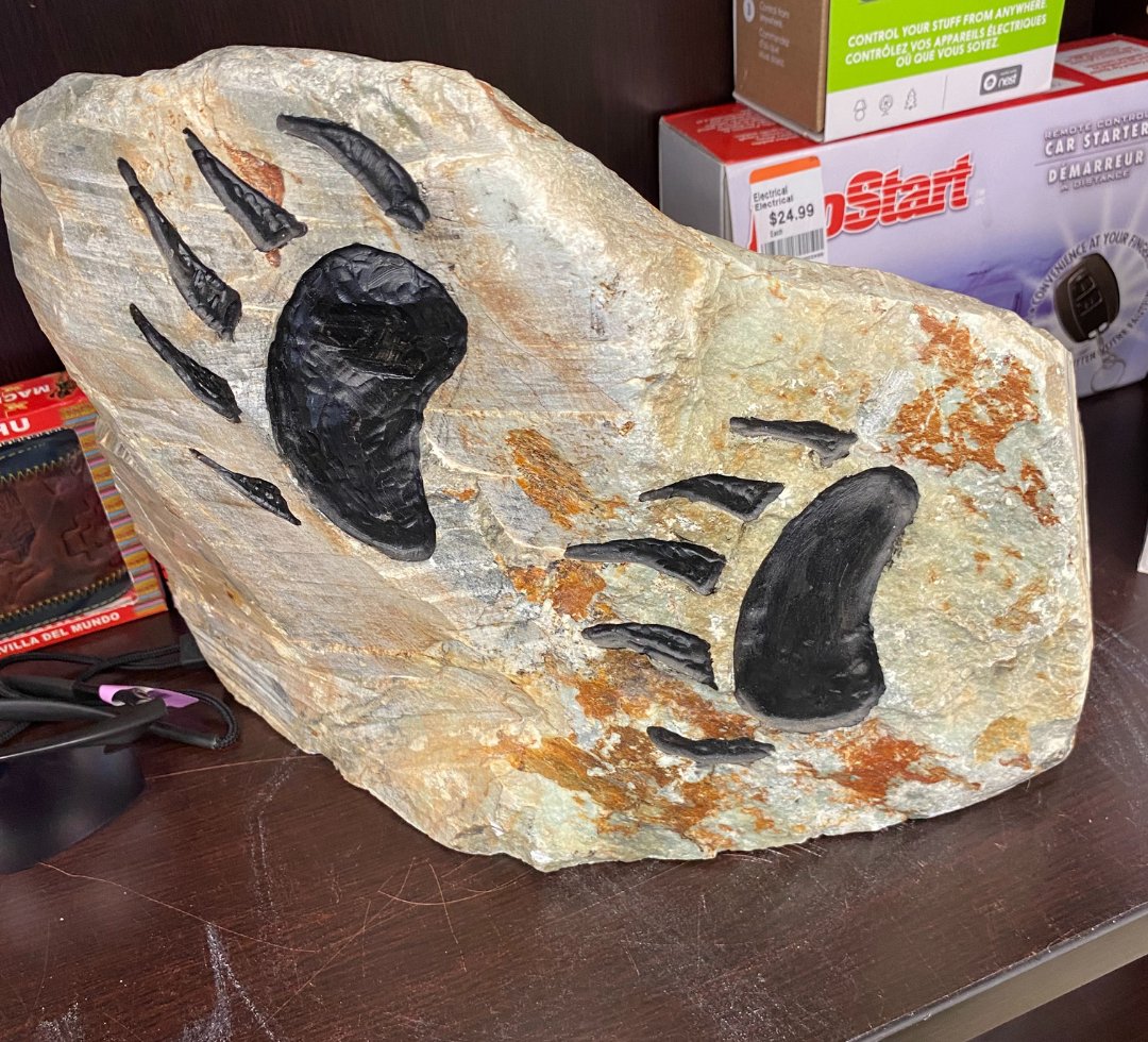 Goodwill Amity tweet media