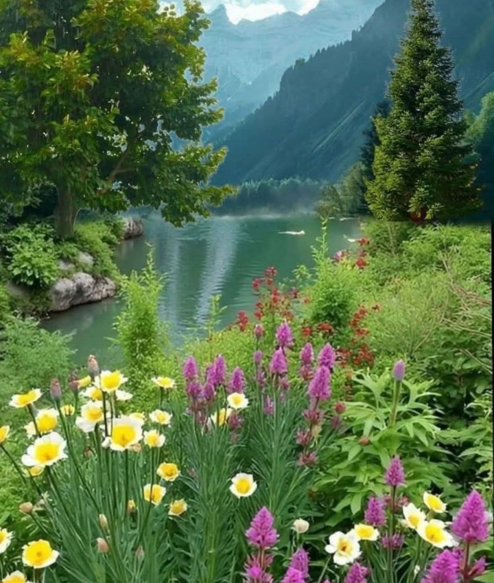 a lovely evening. 🧡
Einen schönen Abend.🧡