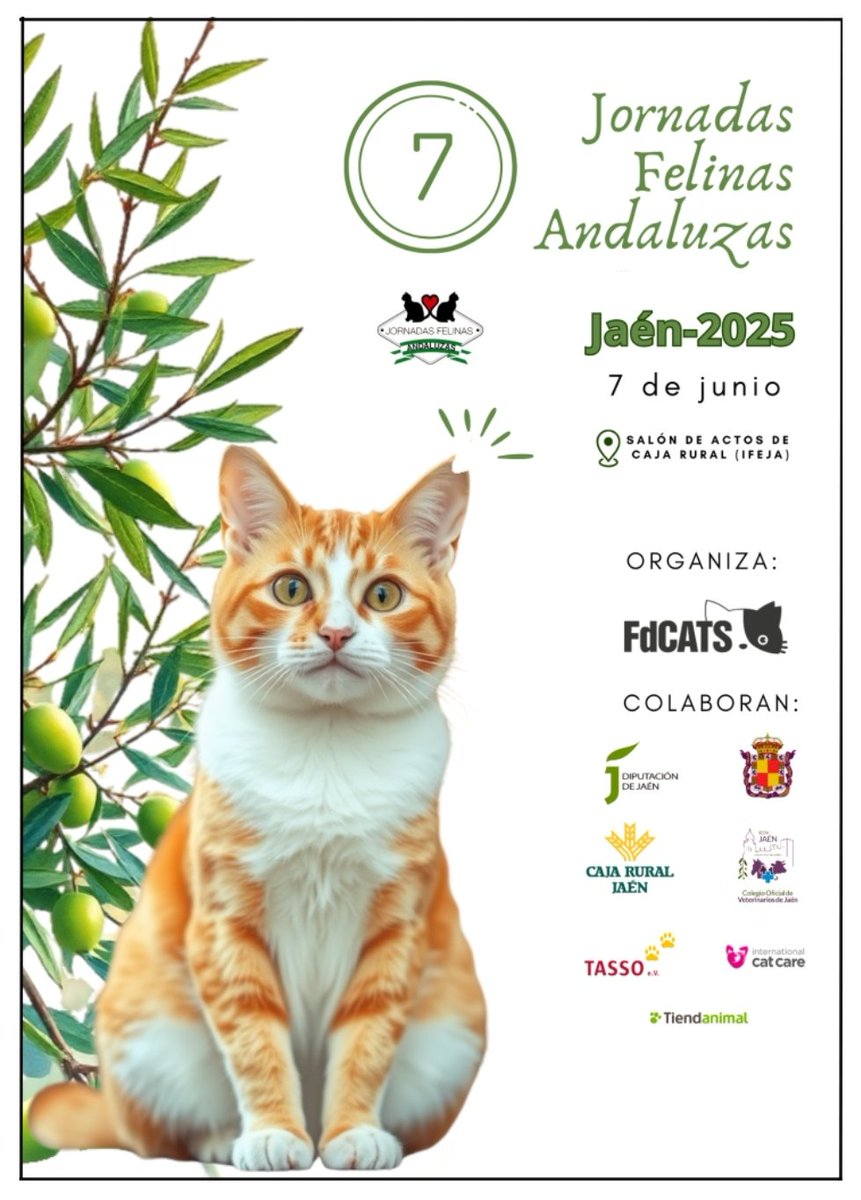 catadicta's tweet image. Ya están abiertas las inscripciones a las VII Jornadas Felinas Andaluzas 😺 en #Jaen 
¡No te las pierdas!
Toda la información aquí ↘️ jornadasfelinasandaluzas.com
¡Te esperamos! 😊