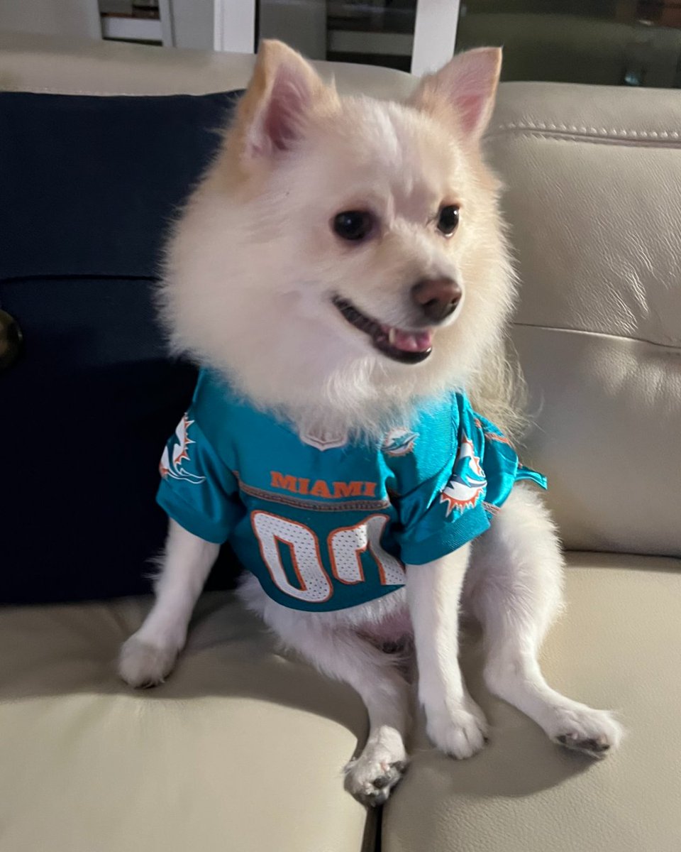 Miami Dolphins tweet media