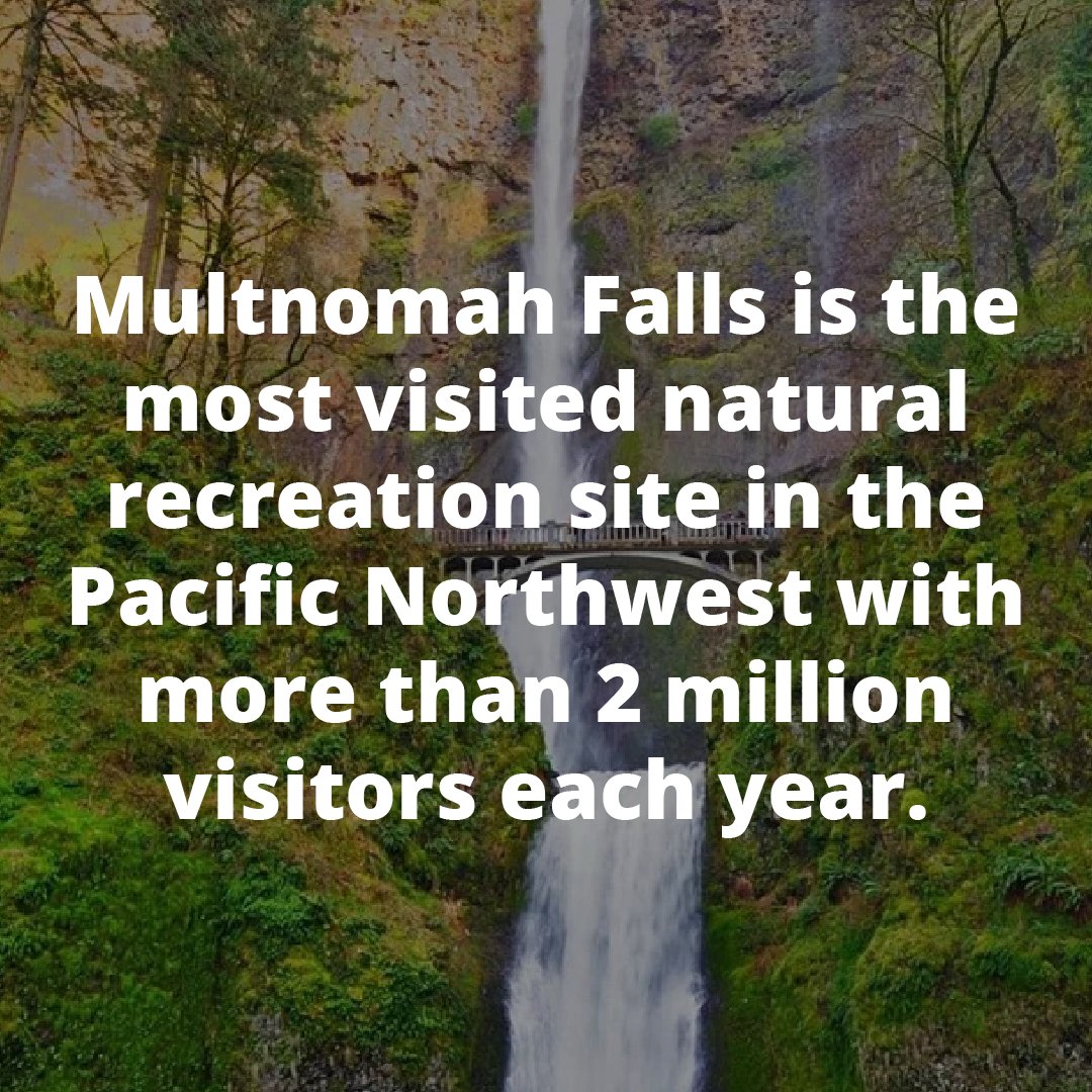 RMLSweb's tweet image. #FridayFunFact