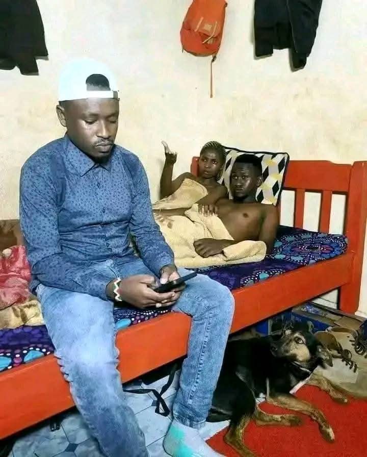 Forget about the dog.
What do you think is happening here?