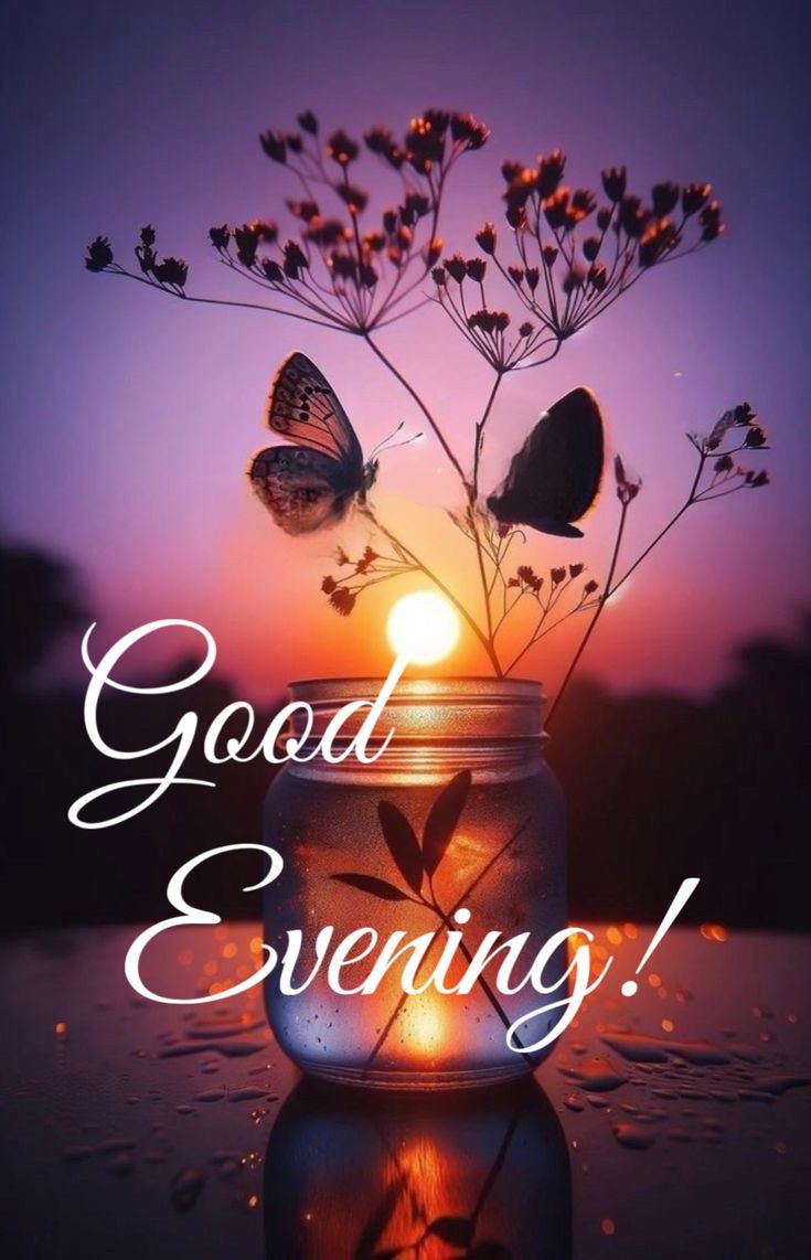 Ayeshakhan tweet media